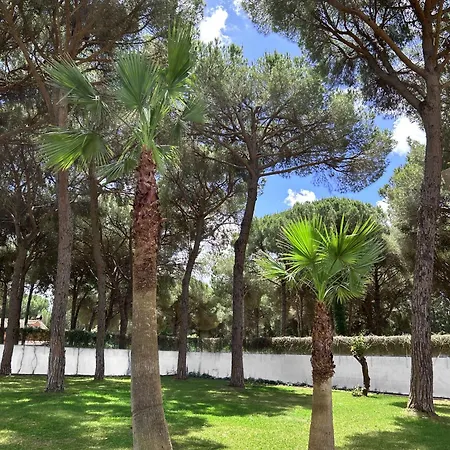 Pinar De La Plata *