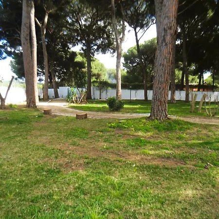 Holiday home Pinar De La Plata